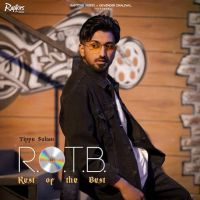 No Ball Tippu Sultan Mp3 Song Download