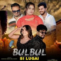 Bulbul Si Lugai Farmani Naaz, Anil Rawat Mp3 Song Download