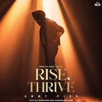 Rise & Thrive By Ammy Virk full album mp3 songs