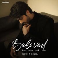 Beloved Waseem Mumtaz and Bilal Saeed mp3 song