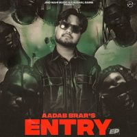 Entry By Aadab Brar full album mp3 songs